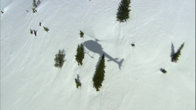 空中，直升机在雪地上的影子，卡里布和莫纳西山脉，加拿大不列颠哥伦比亚省视频下载