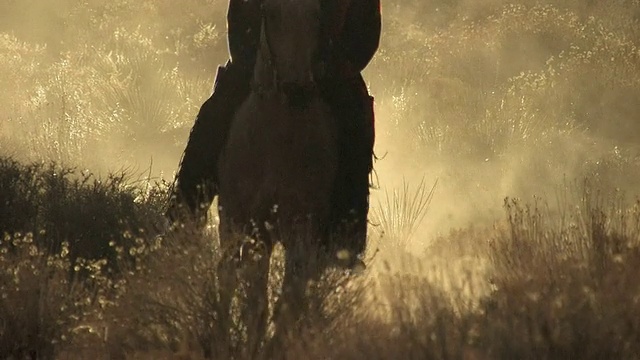 MS, TU，女人的剪影骑马在红色沙漠日落，美国犹他州视频下载