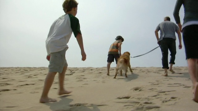 POV，跟随两个儿子的家庭(8-9,10-11)和在沙丘上散步的狗，后视图，普罗温斯敦，科德角，马萨诸塞州，美国视频素材