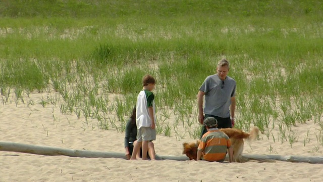 WS, PAN，有两个儿子(8-9,10-11)和狗在沙丘上玩，普罗文斯敦，科德角，马萨诸塞州，美国视频素材