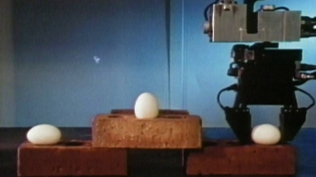 1984年，中等镜头的机械手捡起鸡蛋，并将鸡蛋放在砖块上的一个挨着另一个鸡蛋视频素材