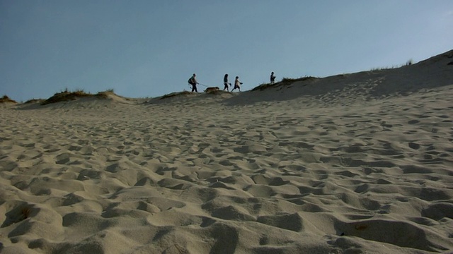 WS，有两个儿子的家庭(8-9,10-11)和在沙丘上散步的狗，普罗文斯敦，科德角，马萨诸塞州，美国视频素材