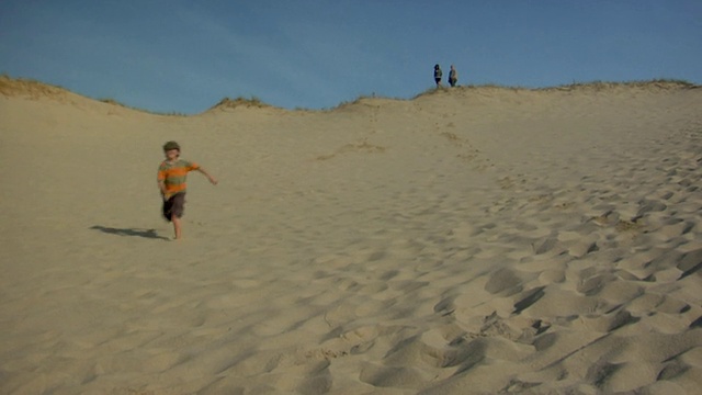 WS，两个男孩(8-9,10-11)和狗跑下沙丘，父母在背景，普罗文斯敦，科德角，马萨诸塞州，美国视频素材