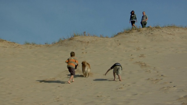 WS，两个男孩(8-9,10-11)和狗跑上沙丘，父母在背景，普罗文斯敦，科德角，马萨诸塞州，美国视频素材