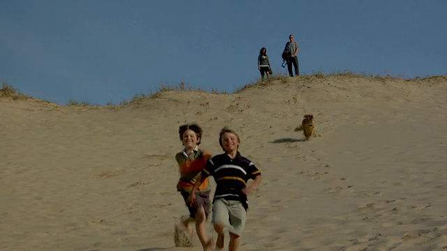 WS，两个男孩(8-9,10-11)和狗跑下沙丘，父母在背景，普罗文斯敦，科德角，马萨诸塞州，美国视频素材