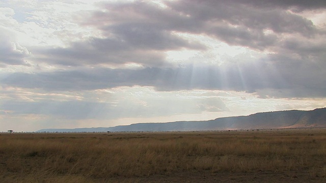 WS, PAN，阳光透过云层照耀在热带草原上，马赛马拉，肯尼亚视频素材