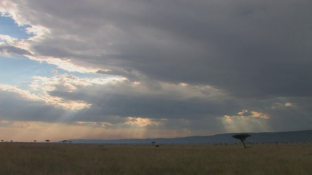 WS，阳光透过云层照耀在热带草原上，马赛马拉，肯尼亚视频素材