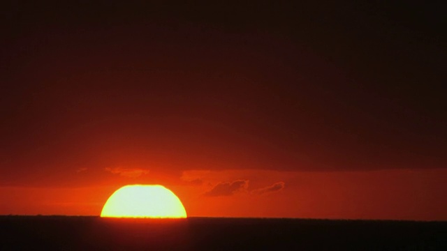 肯尼亚莱基皮亚，橙色太阳落在地平线后视频素材