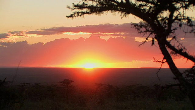 肯尼亚莱基皮亚热带草原上的日落视频素材