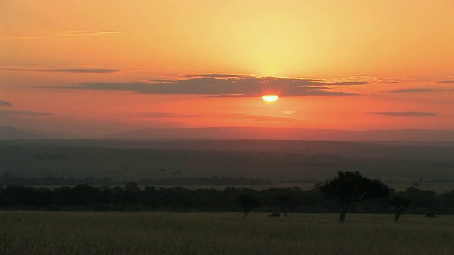 WS，草原上的日出，马赛马拉，肯尼亚视频素材