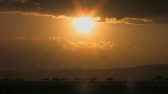 WS，阳光在热带草原上，马赛马拉，肯尼亚视频素材