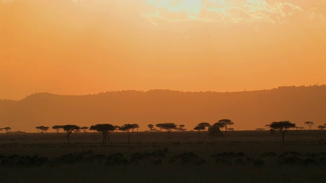 WS，肯尼亚马赛马拉热带草原上空的橙色天空视频素材