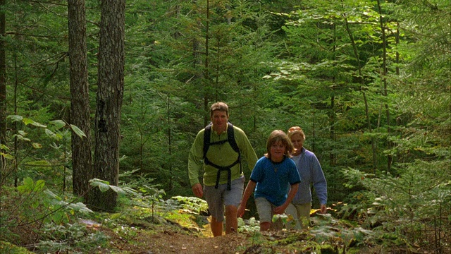 美国缅因州，在森林里徒步旅行的三口之家视频素材