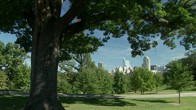 美国北卡罗来纳州，公园里的树，罗利市中心的天际线背景视频下载
