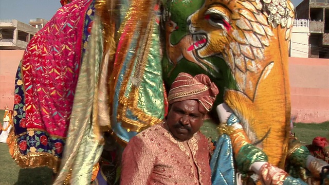 印度拉贾斯坦邦斋浦尔一年一度的大象节上，一名男子和印度大象在一起视频素材