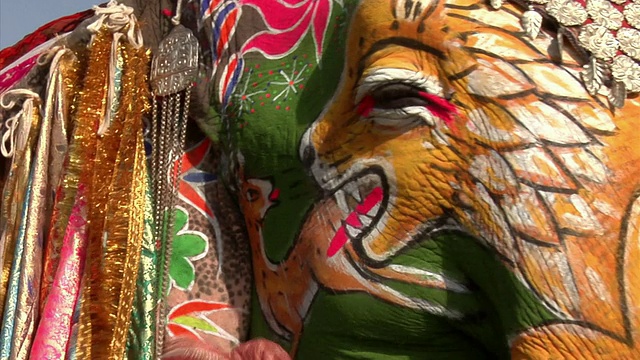 印度拉贾斯坦邦斋浦尔一年一度的大象节上的彩绘大象视频素材