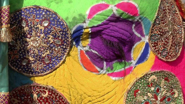 印度拉贾斯坦邦斋浦尔一年一度的大象节上的彩绘大象视频素材