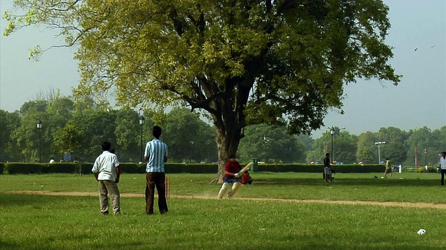 WS, PAN，一群人在玩板球，背景是印度门，印度新德里视频素材