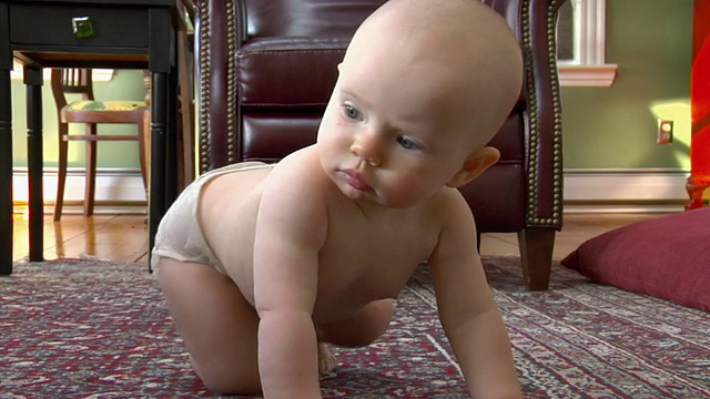 CU，女婴(6-11个月)穿着尿布在地毯上爬，格洛斯特，马萨诸塞州，美国视频下载