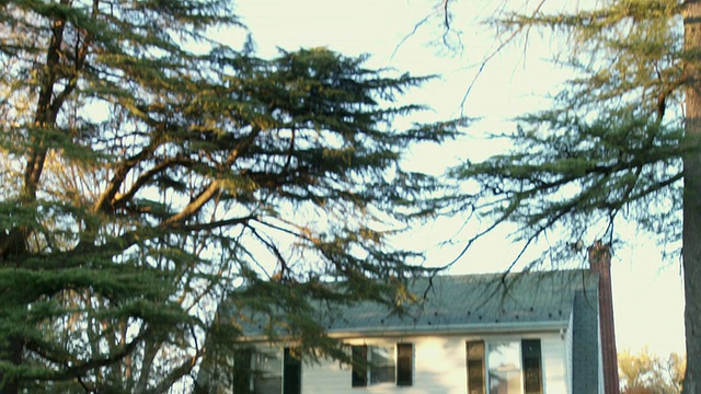 WS, TD，美国弗吉尼亚州里士满，大的郊区房子，前院有“出售”的标志视频下载