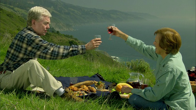 CU, ZO, MS，美国加州大苏尔，一对老年夫妇在海岸山坡上野餐，用葡萄酒敬酒视频下载