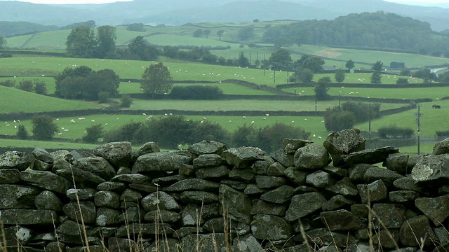 CU, PAN，英国坎布里亚郡Lowick Green附近的石墙和乡村景观视频素材