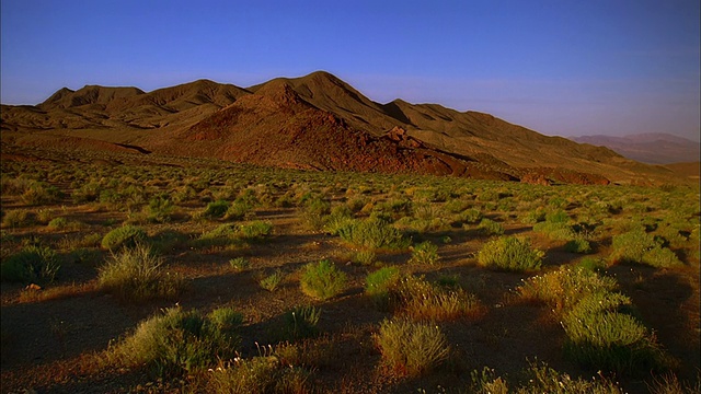 宽镜头的沙漠景观与绿色的灌木丛和山丘的背景视频下载
