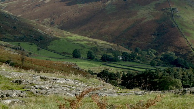 英国坎布里亚郡湖区国家公园，羊群在废水湖周围的山丘上吃草视频素材