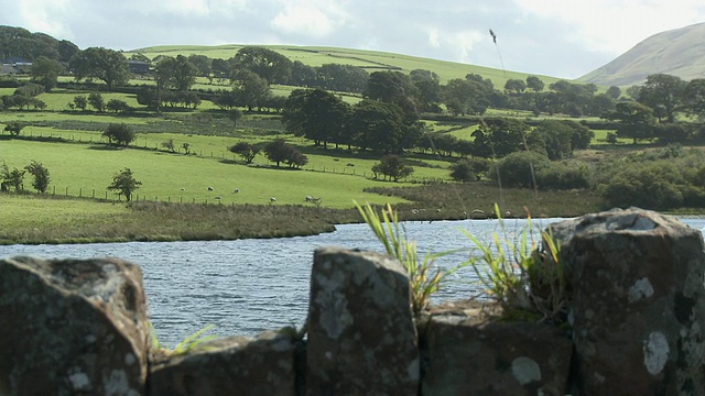 在英国坎布里亚郡的乌洛克附近，绵羊在湖岸放牧，草地在前景的石墙上生长视频素材
