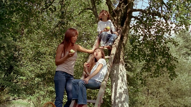 低角度中拍摄母亲站在树旁，儿子和女儿坐在梯子上吃苹果视频下载
