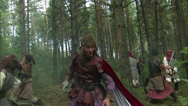 摇晃，MS，中世纪十字军在森林战斗的重演，维尔纽斯，立陶宛视频素材
