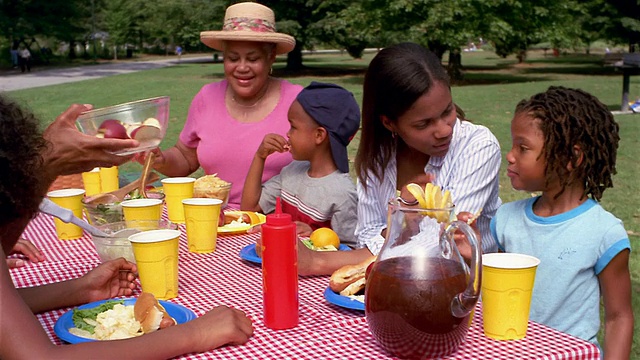 中拍家庭在公园的野餐桌上野餐/孙女拥抱奶奶视频素材