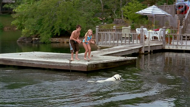 宽镜头男孩和女孩穿着泳衣在码头上和拉布拉多寻回犬玩耍视频下载