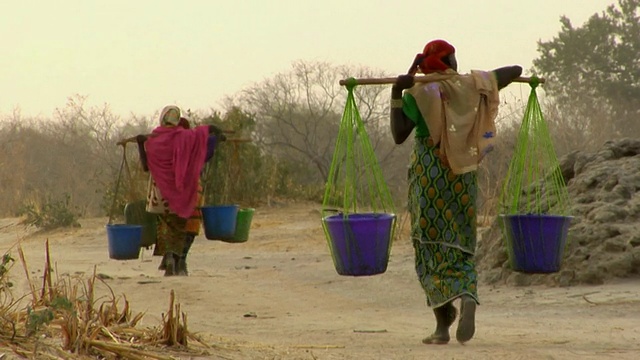 WS，后视图的三个妇女携带水通过干旱地区，尼亚美，尼日尔视频素材