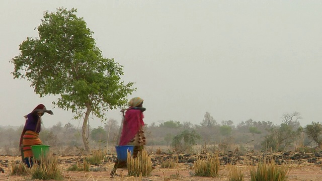 三名妇女扛着水穿过干旱地区，尼亚美，尼日尔视频素材