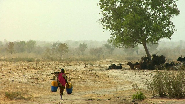 在尼日尔的尼亚美，妇女扛着水穿过干旱的景观视频素材
