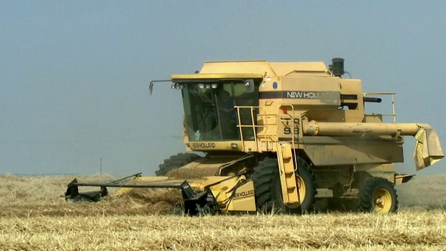 WS PAN谷物联合收割大麦田，在莱斯布里奇附近，阿尔伯塔，加拿大视频下载
