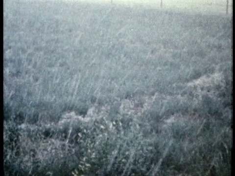 1975 MS强冰雹/美国/音频视频素材