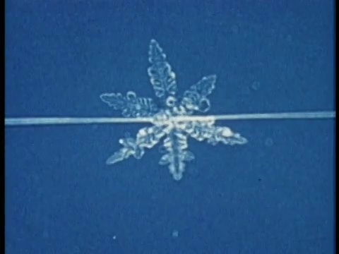 1975年TL雪花形成的科学显微照片/美国/音频视频素材