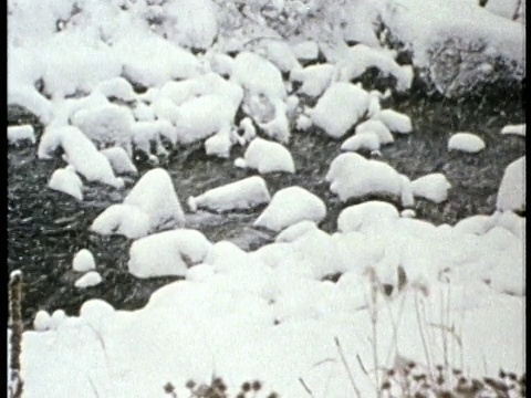 1975年MONTAGE MS CU在潺潺小溪上落下雪/美国/音频视频素材