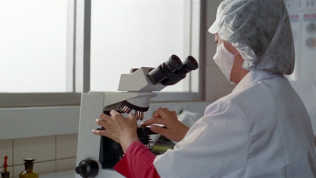 在牛奶厂的实验室里，研究人员在显微镜下观察载玻片视频素材