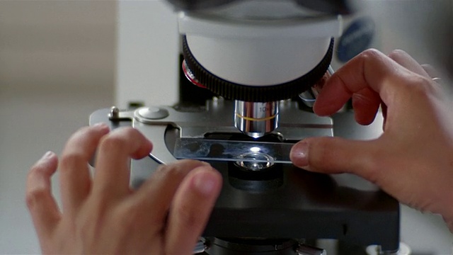 在牛奶厂的实验室里，高角度近距离聚焦研究人员通过显微镜观察载玻片视频素材