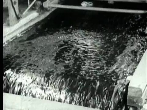 1927 B/W MS破碎煤在输送带装置上的水驱床和水流/宾夕法尼亚州，美国视频素材