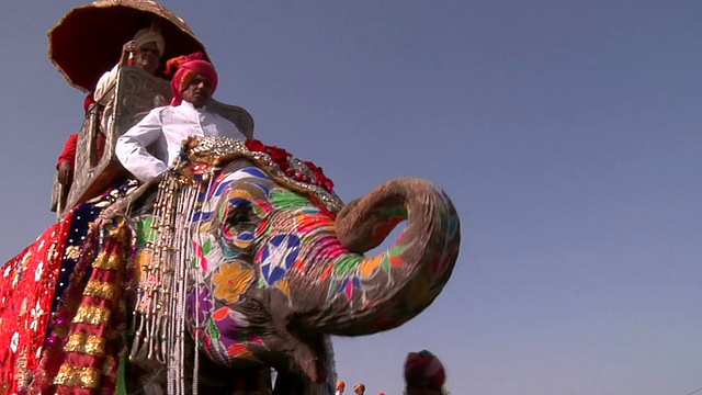 印度拉贾斯坦邦斋浦尔大象节视频下载