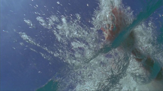 SLO MO, CU, LA，水下冲浪在海浪，瓦胡岛的北岸，夏威夷，美国视频素材