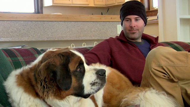 美国蒙大拿州白鱼山小屋里，一个年轻人坐在沙发上，旁边是一只圣伯纳德犬视频素材