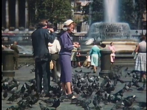 1958年，英国伦敦，人们在特拉法加广场喂鸽子视频素材