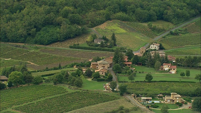 在博若莱地区，罗讷-阿尔卑斯，法国丘陵乡村鸟瞰图视频下载