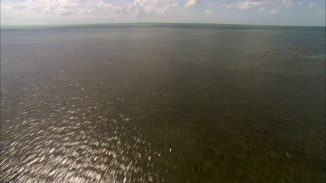鸟群海鸟飞离小岛，佛罗里达群岛，美国佛罗里达视频下载