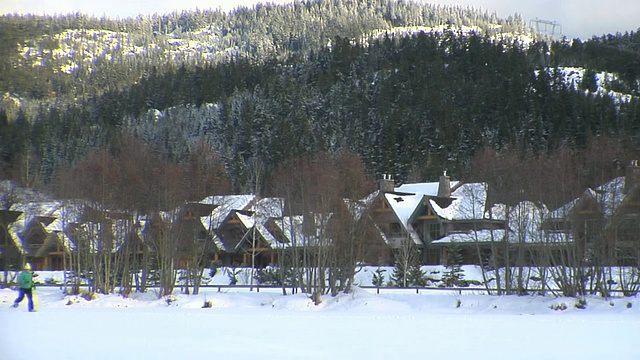 一对LS夫妇在雪地上奔跑，惠斯勒，加拿大不列颠哥伦比亚省视频下载